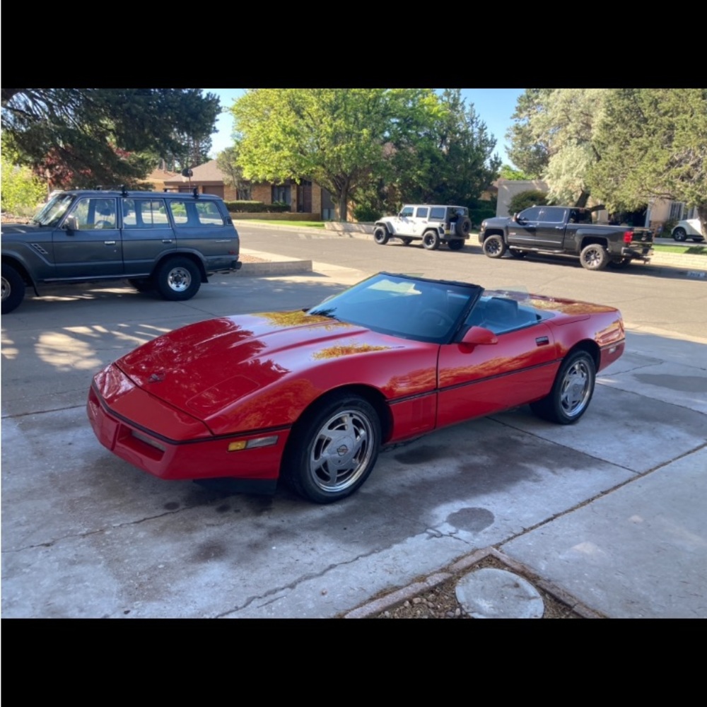 Vette